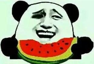 吃瓜的速看,速看！吃瓜群众必备的瓜界资讯大盘点