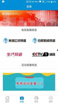 巢湖市新闻头条网首页,聚焦城市发展新动态，共话巢湖未来蓝图