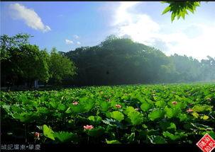 封开微头条,探寻封开县的历史文化魅力